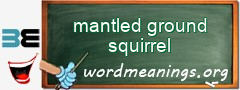 WordMeaning blackboard for mantled ground squirrel